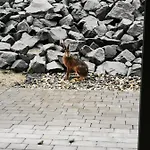 Wislanskie Skije