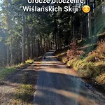 Wislanskie Skije Appartement