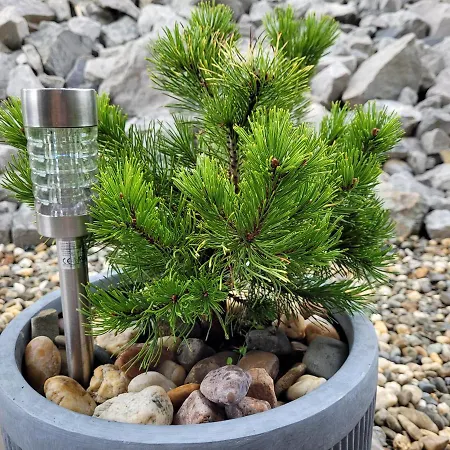 Wislanskie Skije * Висла