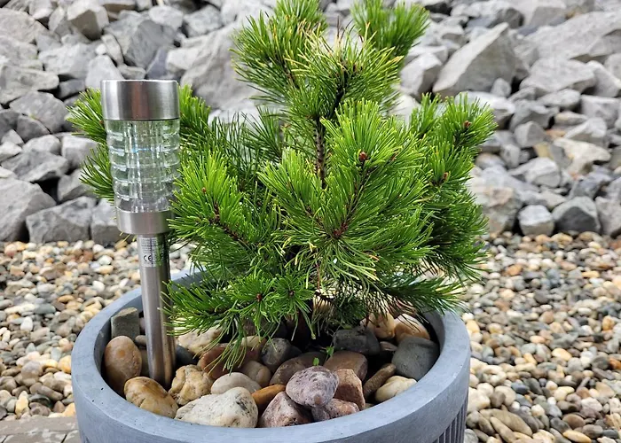 Wislanskie Skije * Wisła