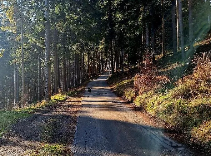 Wislanskie Skije Appartement